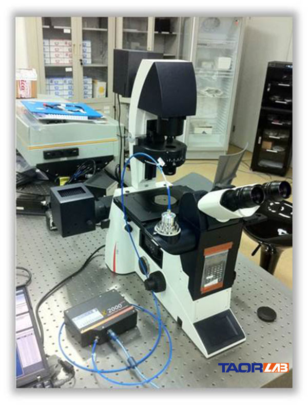 fiber spectrometer